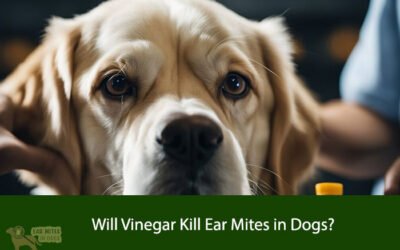 Will Vinegar Kill Ear Mites in Dogs?
